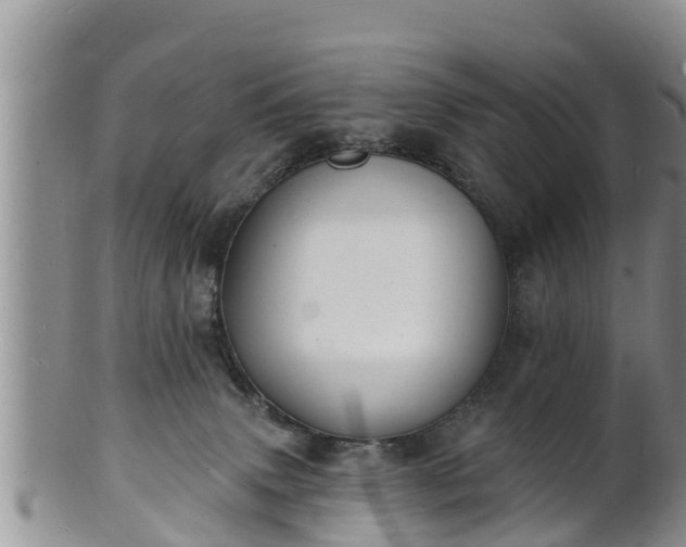 X0000102230083200808011235