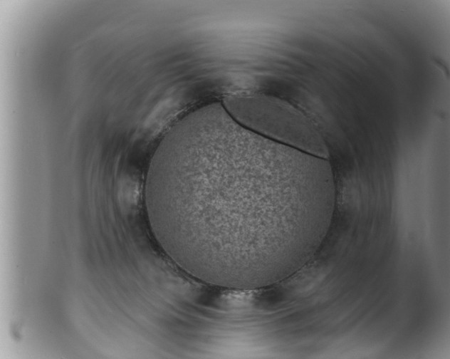 X0000102230084200808011235