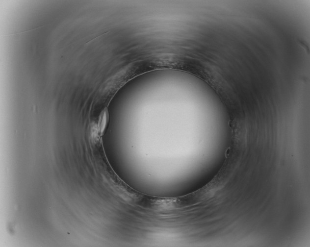 X0000102230089200808011235