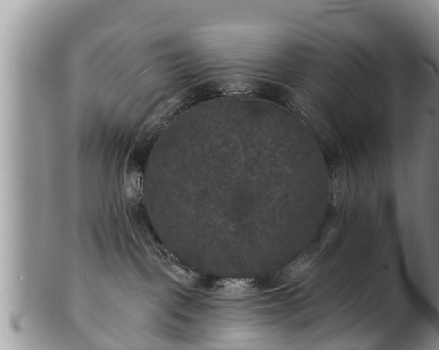 X0000102230093200808011235