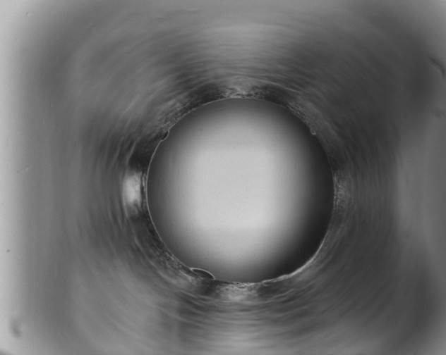 X0000102230094200808011235