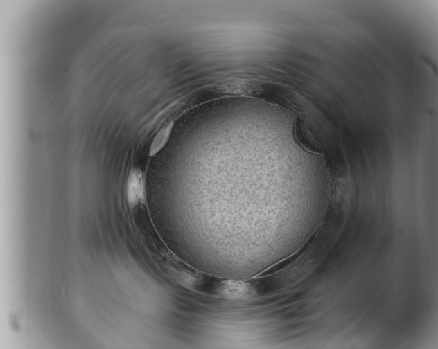 X0000102230095200808011235
