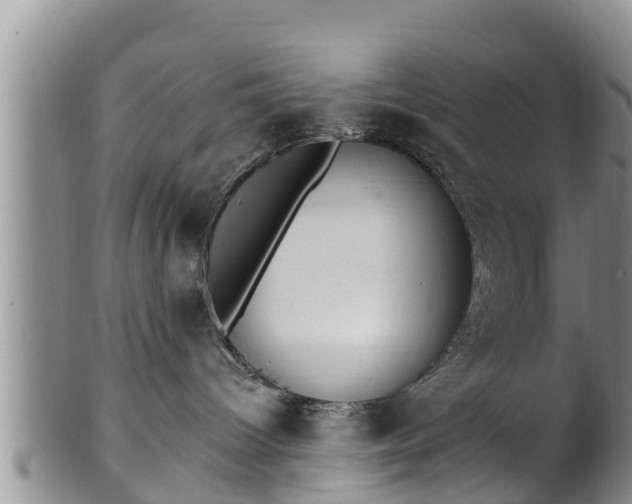 X0000102230096200808011235