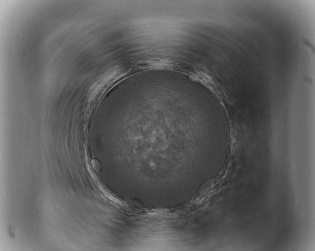 X0000102230097200808011234