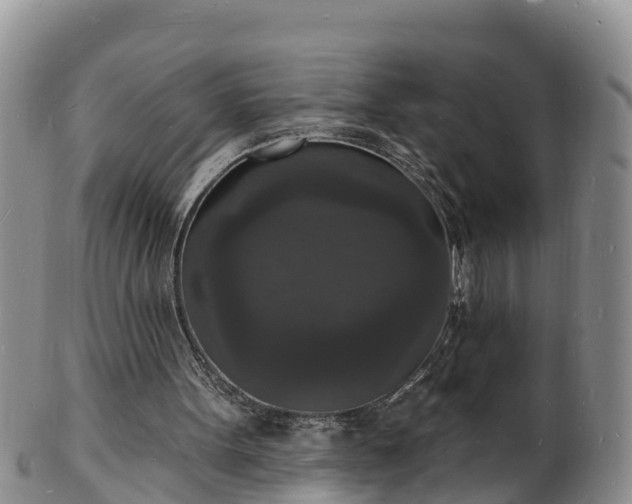 X0000102230099200808011234