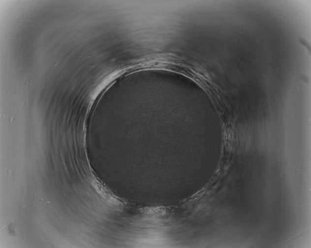 X0000102230100200808011234