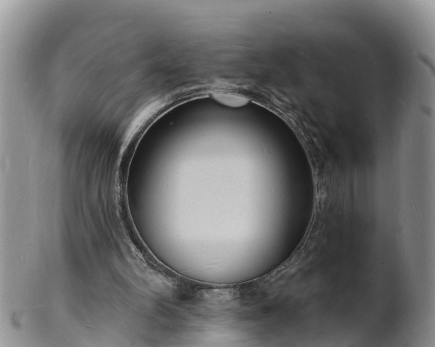 X0000102230102200808011234