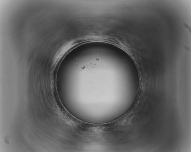 X0000102230103200808011234