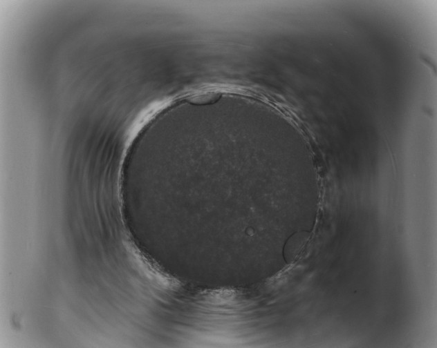 X0000102230104200808011234