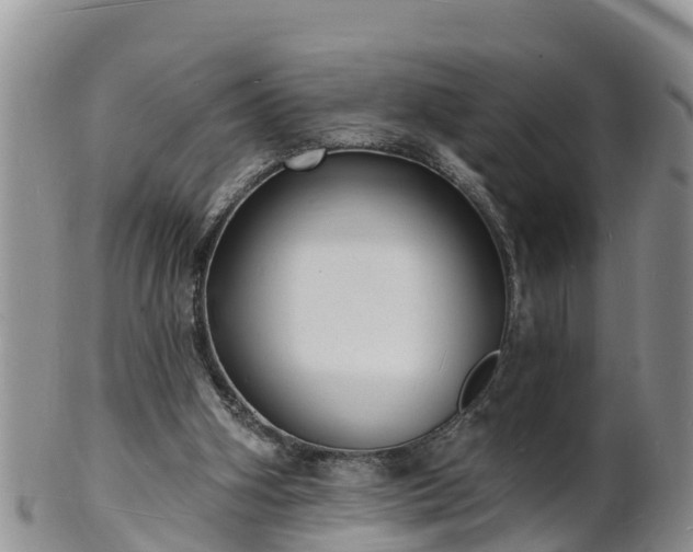 X0000102230106200808011234