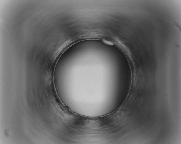 X0000102230107200808011234