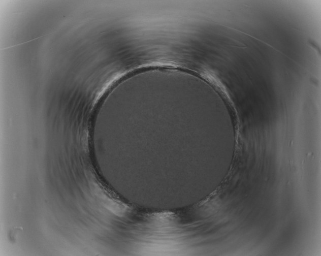 X0000102230108200808011234