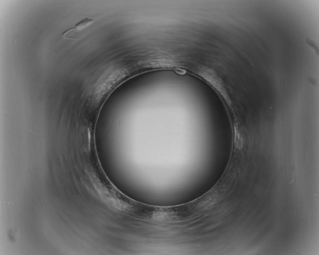 X0000102230109200808011234