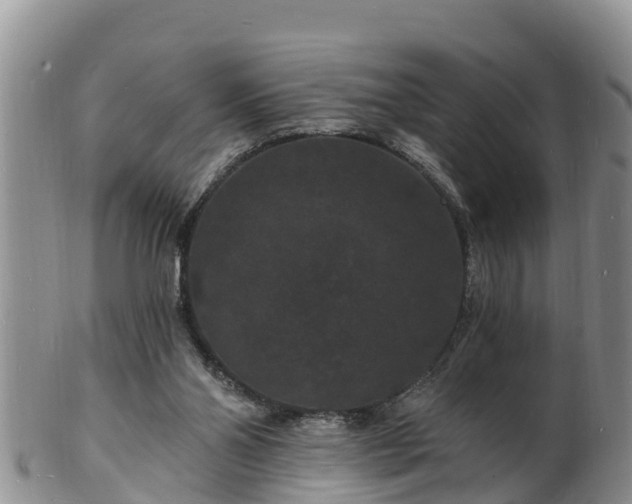 X0000102230110200808011234
