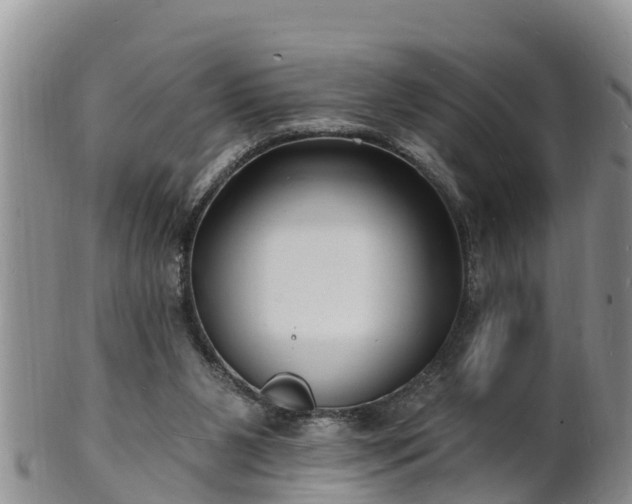 X0000102230111200808011234