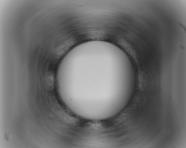 X0000102230113200808011234