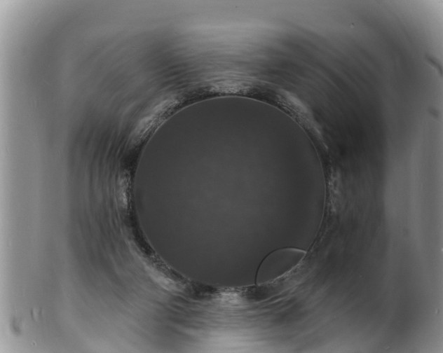 X0000102230114200808011234