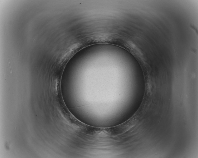 X0000102230115200808011234