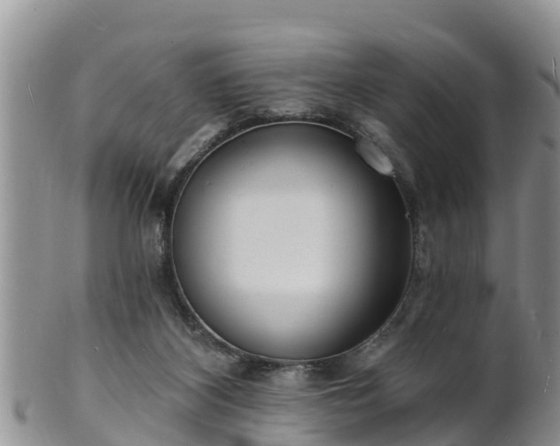 X0000102230116200808011234