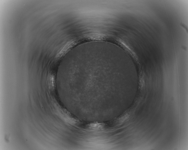 X0000102230117200808011234