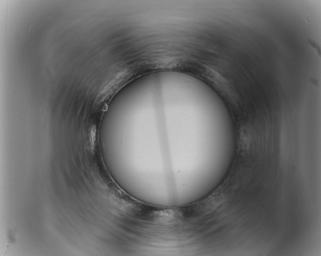 X0000102230118200808011234