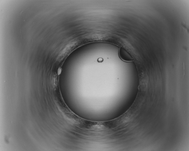 X0000102230119200808011234