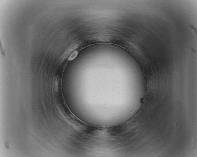 X0000102230120200808011234