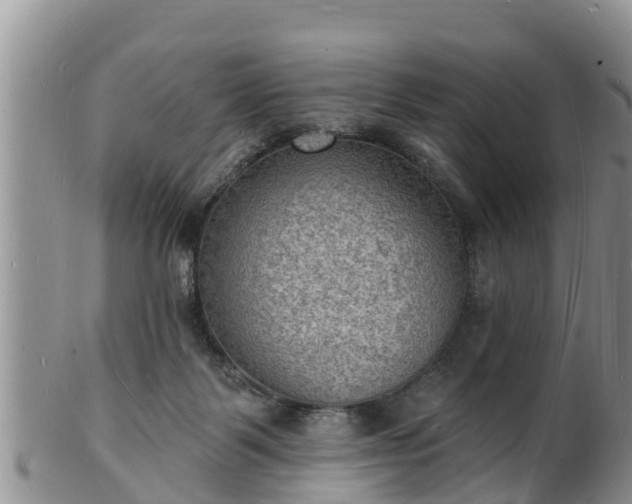 X0000102230123200808011234