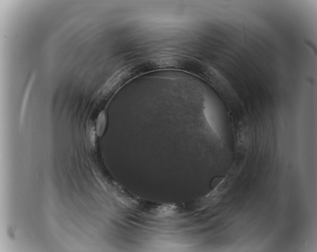 X0000102230124200808011234