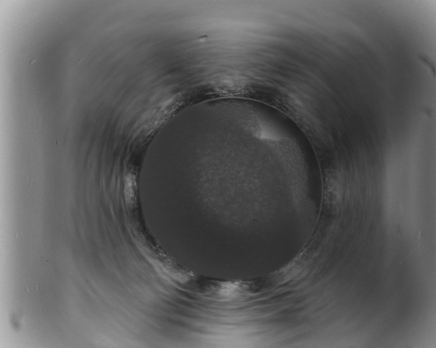 X0000102230130200808011234