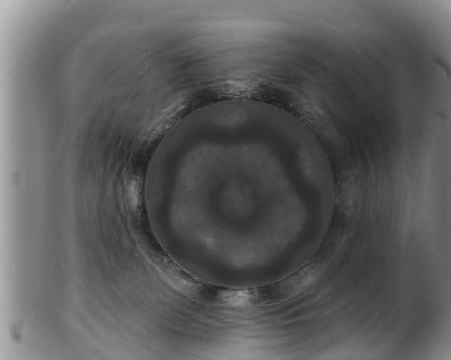 X0000102230131200808011234