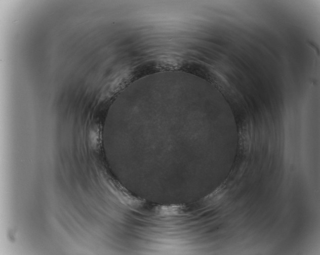 X0000102230134200808011234