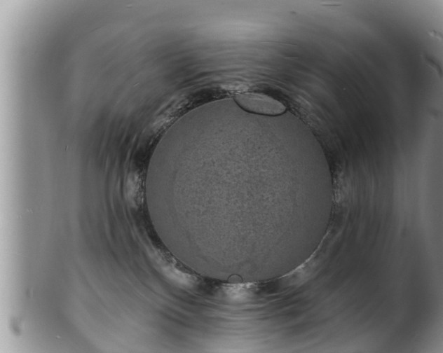 X0000102230136200808011233