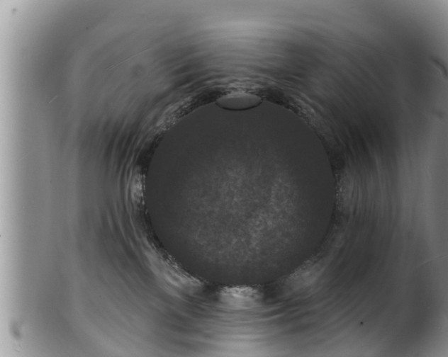 X0000102230137200808011233
