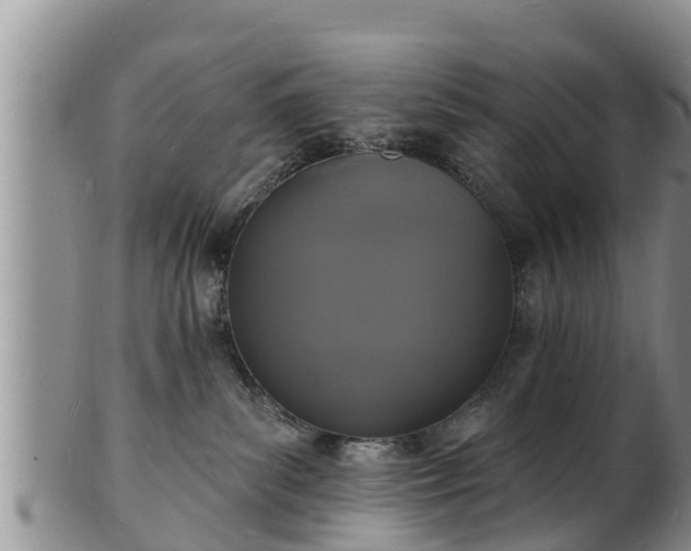 X0000102230139200808011233
