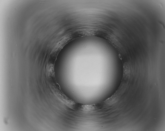X0000102230141200808011233