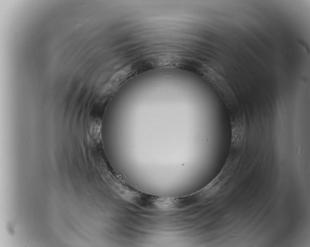 X0000102230142200808011233