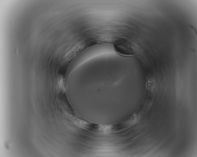 X0000102230143200808011233