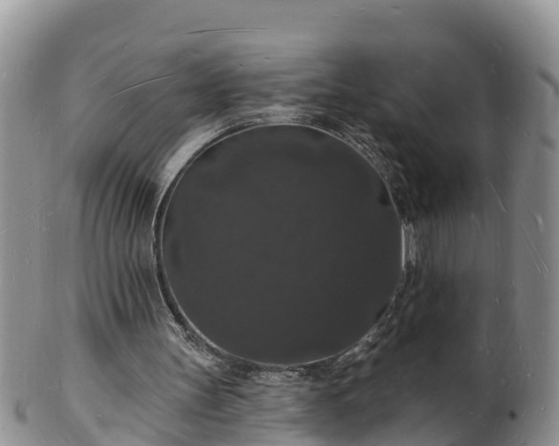 X0000102230147200808011233