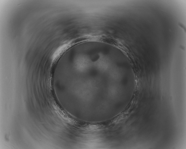 X0000102230149200808011233