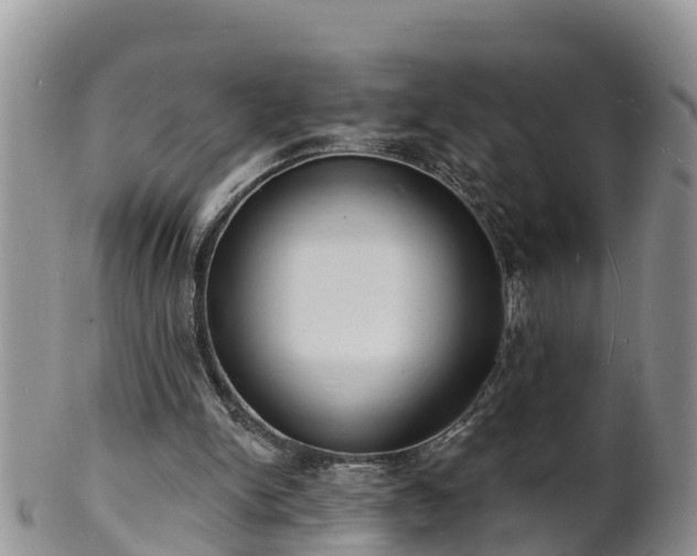 X0000102230150200808011233