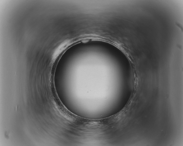X0000102230151200808011233