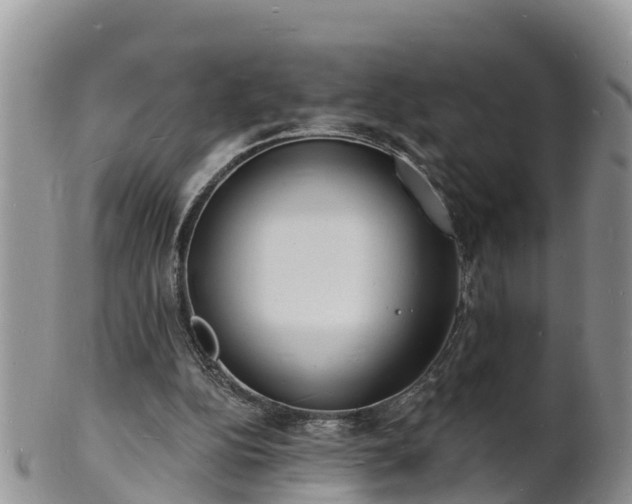 X0000102230152200808011233