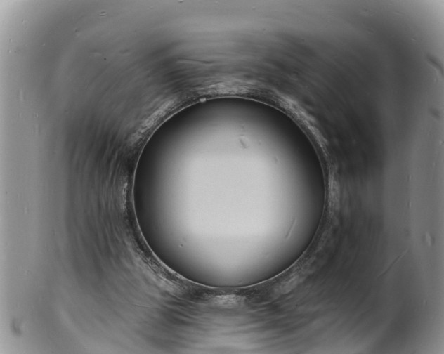 X0000102230153200808011233