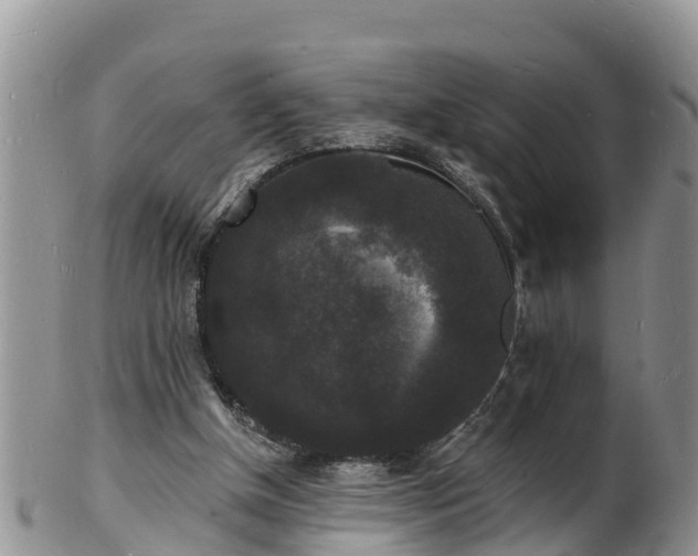 X0000102230154200808011233