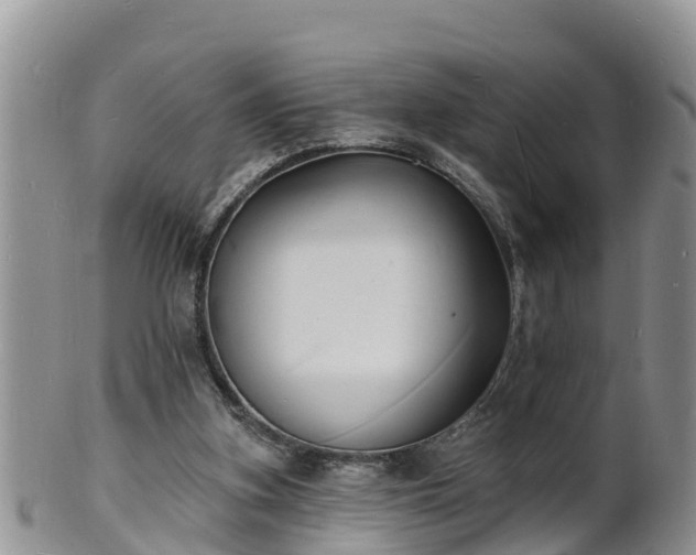 X0000102230155200808011233