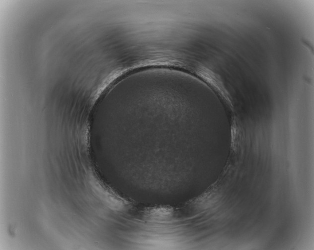 X0000102230156200808011233