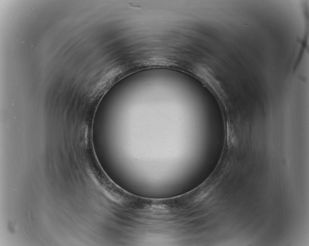 X0000102230157200808011233