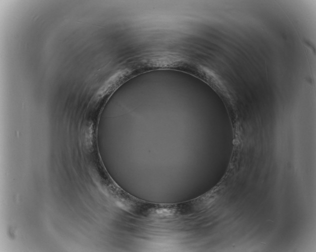 X0000102230163200808011233