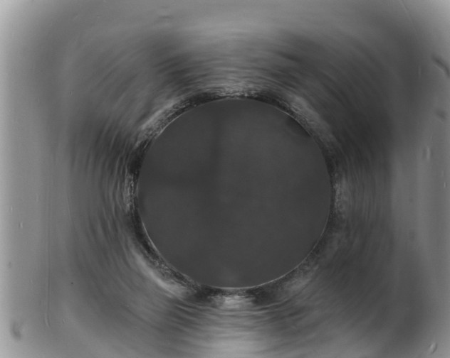 X0000102230165200808011233